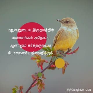 நீதிமொழிகள் 19:20-23 - உன் அந்தியகாலத்தில் நீ ஞானமுள்ளவனாயிருக்கும்படி, ஆலோசனையைக்கேட்டு, புத்திமதியை ஏற்றுக்கொள்.
மனுஷனுடைய இருதயத்தின் எண்ணங்கள் அநேகம்; ஆனாலும் கர்த்தருடைய யோசனையே நிலைநிற்கும்.
நன்மைசெய்ய மனுஷன் கொண்டிருக்கும் ஆசையே தயை; பொய்யனைப் பார்க்கிலும் தரித்திரன் வாசி.
கர்த்தருக்குப் பயப்படுதல் ஜீவனுக்கேதுவானது; அதை அடைந்தவன் திருப்தியடைந்து நிலைத்திருப்பான்; தீமை அவனை அணுகாது.