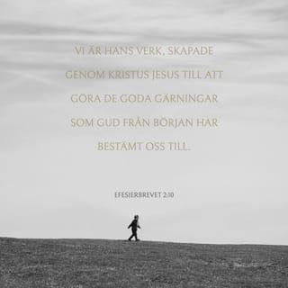 Efesierbrevet 2:10 SFB98 Svenska Folkbibeln