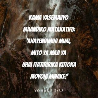 Yn 7:37-39 SUV Maandiko Matakatifu ya Mungu Yaitwayo Biblia