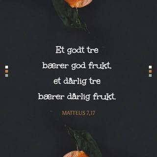 Matteus 7:17 - Slik bærer hvert godt tre god frukt, men et dårlig tre bærer dårlig frukt.