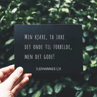 Tredje Johannesbrev 1:11 - Jeg ville komme til dere, og jeg skrev til menigheten deres, men Diotrefes, han som gjerne vil ha lederansvar i menigheten, ville ikke ta imot oss. Når jeg kommer til dere, vil jeg advare dere mot ham. Jeg skal fortelle dere hvordan han lever og opplyse dere om at han taler imot oss med onde ord. Problemet er at han ikke nøyer seg med det. Han nekter å ta imot brødrene våre som ønsker å komme til menigheten, og de i menigheten som hadde ønsket besøk, blir utstøtt av de andre. Kjære venner, ikke etterlign det som er ondt, men vis godhet mot dem som oppfører seg dårlig. Den som gjør det som er godt, tilhører Gud, men den som heller gjør onde handlinger, har ikke sett Gud og kjenner Ham ikke. I motsetning til Diotrefes er Demetrius vel ansett av alle. Han står for det som er rett og sant. Vi vil spre sannheten, og dere vet at budskapet vårt er sant!