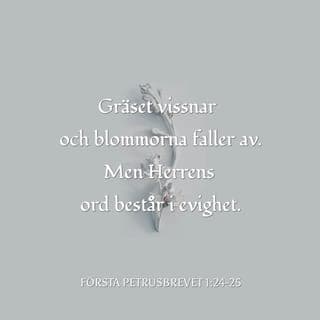 1 Petrusbrevet 1:24-25 - Ty »allt kött är såsom gräs och all dess härlighet såsom gräsets blomster; gräset torkar bort, och blomstret faller av,Ps. 102,12 f. 103, men Herrens ord förbliver evinnerligen». Och det är detta ord som har blivit förkunnat för eder såsom ett glatt budskap.Matt. 5