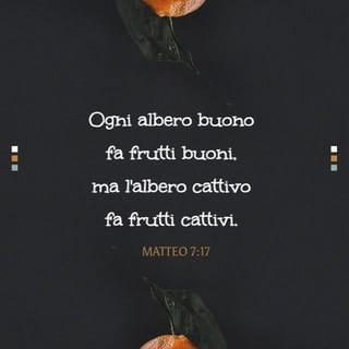 Vangelo secondo Matteo 7:17 - Così, ogni albero buono fa frutti buoni, ma l’albero cattivo fa frutti cattivi.