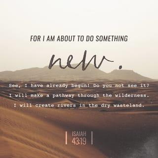 Isaiah 43:19 - Behold, I will do a new thing.
It springs out now.
Don’t you know it?
I will even make a way in the wilderness,
and rivers in the desert.