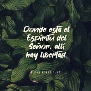 2 Corintios 3:17-18 - Porque el Señor y el Espíritu son uno mismo, y donde está el Espíritu del Señor hay libertad. Y nosotros no tenemos ningún velo que nos cubra la cara. Somos como un espejo que refleja la grandeza del Señor, quien cambia nuestra vida. Gracias a la acción de su Espíritu en nosotros, cada vez nos parecemos más a él.