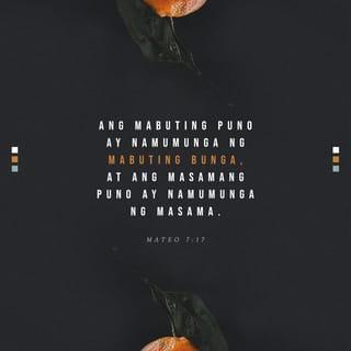 Mateo 7:16-18 - Makikilala ninyo sila sa kanilang mga gawa. Mapipitas ba ang ubas sa puno ng dawag, o ang igos sa matitinik na halaman? Mabuti ang bunga ng mabuting puno, subalit masama ang bunga ng masamang puno. Hindi maaaring mamunga ng masama ang mabuting puno at hindi maaaring mamunga ng mabuti ang masamang puno.