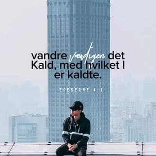 Efeserbrevet 4:1-13 - Jeg, som nu sidder fængslet her, fordi jeg tjener Herren, bønfalder jer om at leve det kald værdigt, som I har modtaget. Vær ydmyge og imødekommende. Vær tålmodige og bær over med hinanden i kærlighed. Gør alt for at fastholde den enhed, som Helligånden skaber, og den fred, som binder os sammen. Vi er jo dele af det samme legeme og har fået den samme Ånd, ligesom vi har den samme stærke forventning om en herlig fremtid. Der er kun én Herre, én tro, én dåb og én Gud, som er Far for os alle. Han står over os alle, virker gennem os alle og bor i os alle.
Kristus har delt ud af sine åndelige gaver til os, og vi har hver især fået nåde til at tjene ham i overensstemmelse med hans plan. Det hedder jo: „Han steg op til det høje, frigav fanger og gav menneskene gaver.” Når der står, at han steg op, må det betyde, at han først var steget ned til jordens nederste regioner. Og han, som steg ned, er den samme som steg op, højt over himmelrummet, for at bringe alt til fuldendelse.
Kristus gav os apostle, profeter, evangelister, hyrder og lærere. Deres opgave er at træne de kristne til at udføre hver deres tjeneste, så Kristi legeme kan styrkes og udvikles, indtil vi alle når frem til enhed i troen på og forståelsen af Guds Søn, til en sådan grad af åndelig modenhed, at vi fuldt ud kan repræsentere Kristus.
