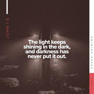 John 1:5 - The light shines in the darkness, and the darkness has not overcome it.