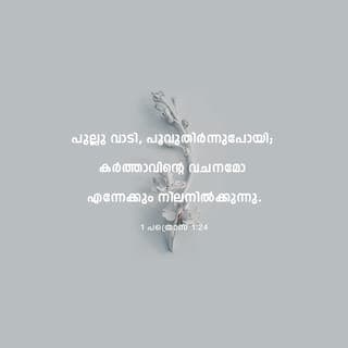 1 PETERA 1:24-25 - എന്തെന്നാൽ സകല മനുഷ്യരും കാട്ടുപുല്ലുപോലെയും
അവരുടെ മഹിമ പുല്ലിന്റെ പൂപോലെയും ആകുന്നു.
പുല്ലു വാടിക്കരിയുന്നു;
പൂക്കൾ കൊഴിഞ്ഞുവീഴുന്നു;
സർവേശ്വരന്റെ വചനം ആകട്ടെ,
എന്നേക്കും നിലനില്ക്കുന്നു.
നിങ്ങളെ അറിയിച്ച സുവാർത്തയാണ് ആ വചനം.
