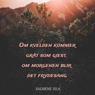 Salmene 30:5 NB