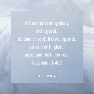 Filipperbrevet 4:8 - For øvrig, søsken, det som er sant, det som er ære verdt, det som er rettferdig, det som er rent, det som er verd å elske, de ting som det tales vel om, om det er et ærbart liv, og om det er noe som er verd å bli rost, så legg dere alt dette på sinne!