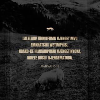 Mt 10:16-20 - Angalieni, mimi nawatuma kama kondoo kati ya mbwa-mwitu; basi iweni na busara kama nyoka, na kuwa watu wapole kama hua. Jihadharini na wanadamu; kwa maana watawapeleka mabarazani, na katika masinagogi yao watawapiga; nanyi mtachukuliwa mbele ya maliwali na wafalme kwa ajili yangu, kuwa ushuhuda kwao na kwa mataifa. Lakini hapo watakapowapeleka, msifikiri-fikiri jinsi mtakavyosema; maana mtapewa saa ile mtakayosema. Kwa kuwa si ninyi msemao, bali ni Roho wa Baba yenu asemaye ndani yenu.