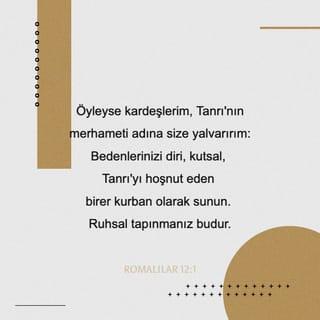 Romans 12:1-2 - Therefore, I urge you, brothers and sisters, in view of God’s mercy, to offer your bodies as a living sacrifice, holy and pleasing to God—this is your true and proper worship. Do not conform to the pattern of this world, but be transformed by the renewing of your mind. Then you will be able to test and approve what God’s will is—his good, pleasing and perfect will.