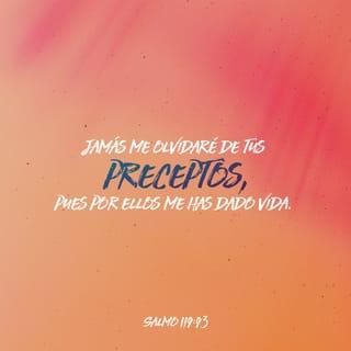 Salmo 119:93 - Jamás me olvidaré de tus preceptos,
pues con ellos me has dado vida.