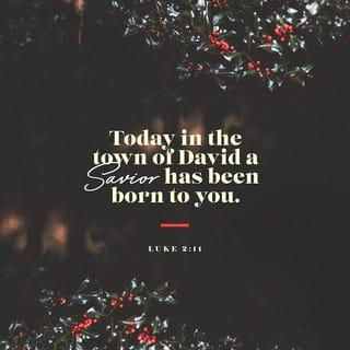 Luke 2:10-11 - but the angel said to them, “Don't be afraid! I am here with good news for you, which will bring great joy to all the people. This very day in David's town your Saviour was born — Christ the Lord!
