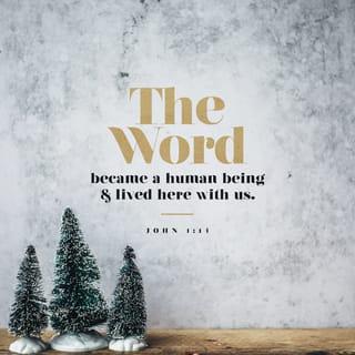 John 1:14 - And the Word became flesh, and dwelt among us (and we beheld his glory, glory as of the only begotten from the Father), full of grace and truth.