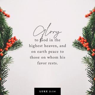 Luke 2:14 - “Glory to God in the highest heaven,
and peace on earth to those with whom he is pleased!”