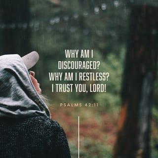Psalms 42:11 - အို အကျွန်ုပ်၏စိတ်ညာဉ်၊ သင်သည် အဘယ်ကြောင့် ညှိုးငယ်နေရပါသနည်း။ အကျွန်ုပ်အထဲ၌ အဘယ်ကြောင့် မငြိမ်မသက်ဖြစ်နေရပါသနည်း။ ဘုရားရှင်အား မျှော်လင့်၍ ယုံကြည်ကိုးစားလော့။ အကျွန်ုပ်သည် အကျွန်ုပ်အားကယ်တင်တော်မူသောအရှင်၊ အကျွန်ုပ်ဘုရားရှင်ကို နောက်ထပ်တစ်ဖန် ချီးမွမ်းပါမည်။