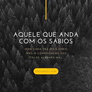 Provérbios 13:20-23 - Quem anda com os sábios será sábio, mas o companheiro dos tolos acabará mal. A desgraça persegue os pecadores, mas os justos serão recompensados com o bem. O homem bom deixa herança aos filhos de seus filhos, mas a riqueza do pecador é depositada para o justo. As terras dos pobres dão mantimento em abundância, mas isso se perde por falta de justiça.