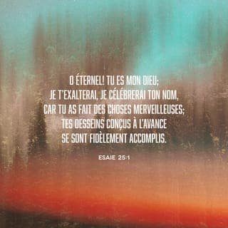 Ésaïe 25:1 - Seigneur,
Le prophète entonne un chant d'action de grâce pour le Seigneur. Il reconnaît la signification de ce que Dieu réalise : non pas une destruction par colère mais une action qui vise à reconstruire l'humanité sur des bases justes. Il voit en Dieu celui qui a été le refuge de son peuple et qui l'a délivré de ses ennemis, fous d'orgueil et de violence.
c'est toi qui es mon Dieu,
je veux proclamer ta grandeur
et dire qui tu es dans mes louanges.
Car tu as réalisé
des projets merveilleux.
Ils tiennent depuis longtemps,
on peut s'y fier.