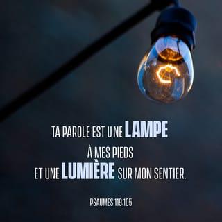 Psaumes 119:105 - Ta parole est comme une lampe ╵qui guide tous mes pas,
elle est une lumière ╵éclairant mon chemin.