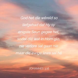 JOHANNES 3:15-20 - sodat elkeen wat in Hom glo, die ewige lewe kan hê.
“God het die wêreld so liefgehad dat Hy sy enigste Seun gegee het, sodat dié wat in Hom glo, nie verlore sal gaan nie maar die ewige lewe sal hê. God het nie sy Seun na die wêreld toe gestuur om die wêreld te veroordeel nie, maar sodat die wêreld deur Hom gered kan word. Wie in Hom glo, word nie veroordeel nie; wie nie glo nie, is reeds veroordeel omdat hy nie in die enigste Seun van God glo nie. En so kom die skeiding: die lig het na die wêreld toe gekom, en tog het die mense eerder die duisternis as die lig liefgehad, want hulle dade was sleg. Elkeen wat kwaad doen, haat immers die lig en kom nie na die lig toe nie, sodat sy dade nie aan die kaak gestel moet word nie.