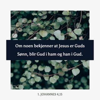 Første Johannesbrev 4:14-16 - Vi er vitner til at Gud har sendt sin Sønn som frelser til verden. Alle som tror at Jesus er Guds Sønn, vil ta imot Gud i sitt indre og bli omsluttet av Gud. Vi har møtt Guds kjærlighet og derfor begynte vi å tro på kjærligheten. Gud er kjærlighet, og den som holder seg til Gud, vil oppleve denne kjærligheten, og Gud vil være med ham.