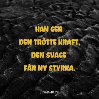 Jesaja 40:29 B2000