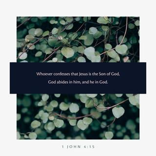 1 John 4:15 - Whoever confesses that Jesus is the Son of God, God remains in him, and he in God.