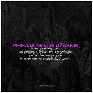 Matthew 12:17-21 - that it might be fulfilled which was spoken by Esaias the prophet, saying,
Behold my servant, whom I have chosen;
My beloved, in whom my soul is well pleased:
I will put my spirit upon him,
And he shall shew judgment to the Gentiles.
He shall not strive, nor cry;
Neither shall any man hear his voice in the streets.
A bruised reed shall he not break,
And smoking flax shall he not quench,
Till he send forth judgment unto victory.
And in his name shall the Gentiles trust.