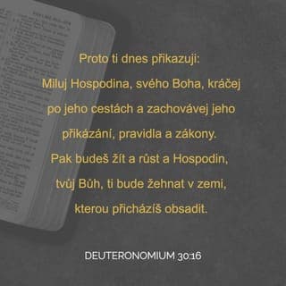 Deuteronomium 30:16 - To ti dnes přikazuji, abys miloval Hospodina, svého Boha, chodil po jeho cestách a zachovával jeho příkazy, ustanovení a nařízení. Tak zůstaneš naživu, rozmnožíš se a Hospodin, tvůj Bůh, ti požehná v zemi, do které jdeš, abys ji obsadil.