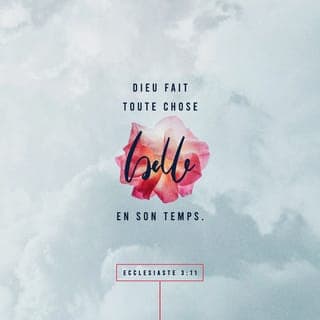 Ecclésiaste 3:11 - Dieu a établi pour chaque événement le moment qui convient. Il nous a aussi donné le désir de connaître à la fois le passé et l'avenir. Pourtant nous ne parvenons pas à connaître l'œuvre de Dieu dans sa totalité.