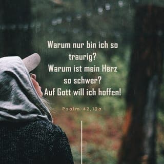 Psalm 42:11 - Es trifft mich wie ein Mordstoß, / wenn mich meine Dränger schmähen, / Wenn sie mich täglich höhnisch fragen: / "Wo ist nun dein Gott?" Was bist du, meine Seele, denn so tief betrübt? / Was bist du so erregt in mir? / Harr nur auf Elohim; denn noch werd ich ihm danken: / Er ist ja meine Hilfe und mein Gott.