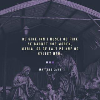 Matteus 2:11 NB