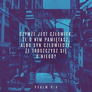 Psalmy 8:3-6 SNP