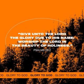 Psalms 29:2 - Praise the Lord for the glory of his name.
Worship the Lord because he is holy.