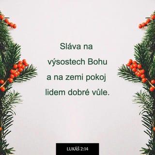 Lukáš 2:14-18 - „Sláva na výsostech Bohu
a na zemi pokoj lidem dobré vůle.“
Jakmile od nich andělé odešli do nebe, pastýři si řekli: „Pojďme do Betléma! Podíváme se, jak se stalo, co nám Hospodin oznámil.“ Pospíšili si tedy, a když přišli, nalezli Marii, Josefa i děťátko ležící v jeslích. Poté, co ho uviděli, začali rozhlašovat, co jim bylo o tom dítěti řečeno, a všichni, kdo to slyšeli, žasli nad tím, co jim pastýři říkali.
