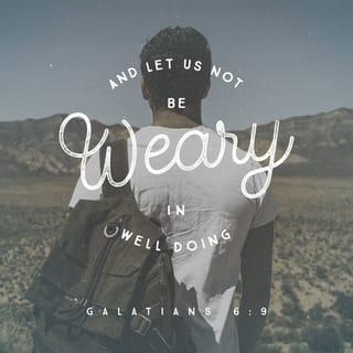 Galatians 6:9 - Let us not become weary in doing good, for at the proper time we will reap a harvest if we do not give up.