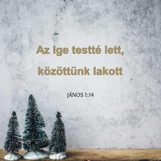 János evangéliuma 1:14 - Az Ige hús-vér emberré lett, és közöttünk élt, mi pedig közelről szemléltük a dicsőségét. Igen, a Mennyei Atyától származó egyszülött Fiú dicsőségét, akiben az isteni kegyelem és a valóság teljessége lakik.