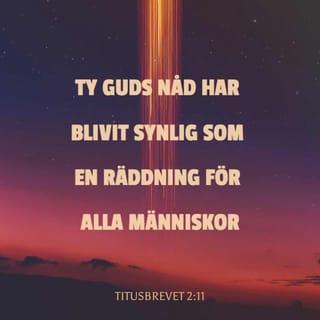 Titusbrevet 2:11 B2000