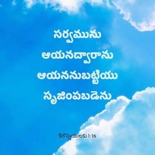 కొలొస్సీ పత్రిక 1:16 - ఎందుకనగా, ఆయనలోనే సమస్తం సృష్టించబడ్డాయి, అనగా: ఆకాశంలో ఉన్నవి, భూమిపై ఉన్నవి, కంటికి కనబడేవి కనబడనివి, సింహాసనాలైనా లేదా ప్రభుత్వాలైనా లేదా పాలకులైనా లేదా అధికారులైనా, సమస్తం ఆయన ద్వారానే ఆయన కొరకే సృష్టించబడ్డాయి.