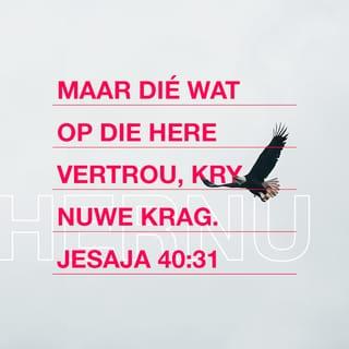 JESAJA 40:30-31 AFR83