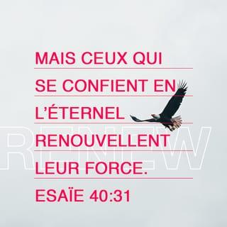Ésaïe 40:31 PDV2017