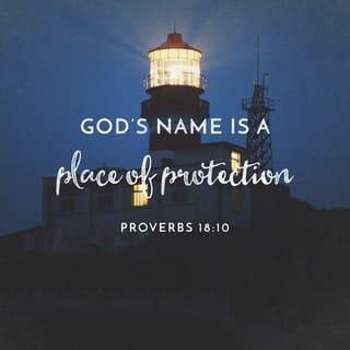Proverbs 18:10 - The name of the LORD is a fortified tower;
the righteous run to it and are safe.