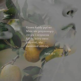 Ewangelia Jana 15:2 - Każdy pęd, który nie niesie we mnie owocu usuwa, a każdy, który niesie owoc oczyszcza, aby niósł owoc obfitszy.