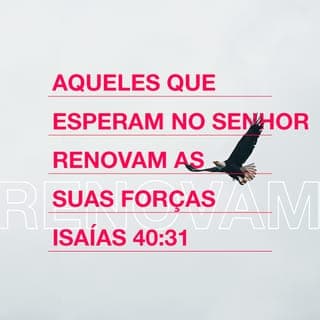 Isaías 40:30-31 - Os jovens se cansam e ficam fracos;
até os adolescentes ficam exaustos e caem.
Mas aqueles que confiam na ajuda do SENHOR
encontrarão novas forças.
Voarão como águias,
correrão sem se cansarem,
andarão sem nunca perderem as forças.