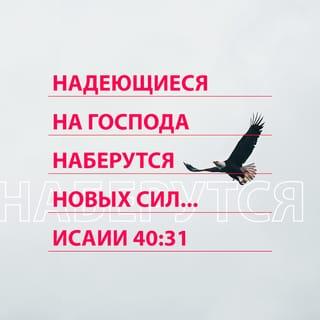 Книга пророка Исаии 40:31 - а надеющиеся на Господа обновятся в силе: поднимут крылья, как орлы, потекут — и не устанут, пойдут — и не утомятся.