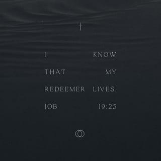 Job 19:25-26 NKJV New King James Version