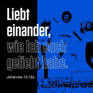 Johannes 15:12 - Ich selbst bin der echte Weinstock. Mein Vater ist der Besitzer des Weinbergs. ° Jede Weinrebe, die an mir wächst und doch keine Frucht hervorbringt, die schneidet er ab. Aber jede Weinrebe, die Früchte trägt, die reinigt er, damit sie noch mehr Früchte hervorbringen kann. ° Doch ihr seid schon rein aufgrund der Botschaft, die ich euch übergeben habe. ° Bleibt ganz eng mit mir verbunden, so wie ich ja auch in euch bleibe! Eine Weinrebe kann aus sich selbst heraus keine Trauben hervorbringen. Das geht nur, wenn sie mit dem Weinstock verbunden bleibt. So ist es auch bei euch: Ihr könnt nur dann etwas bewirken, wenn ihr fest mit mir verbunden seid. ° Ich selbst bin der Weinstock und ihr seid die Weinreben. Jeder, der mit mir verbunden bleibt, so wie ich fest mit ihm verbunden bin, der bringt viel Frucht hervor. ° Denn es ist so: Wenn ihr euch von mir trennt, dann könnt ihr überhaupt nichts bewirken. Wer nicht fest mit mir verbunden bleibt, der wird auf die Seite geworfen. Das ist wie bei den abgeschnittenen Weinreben. Sie vertrocknen dann und werden schließlich als Brennstoff ins Feuer geworfen. ° Wenn ihr aber fest mit mir verbunden bleibt und wenn meine Worte in euch weiten Raum haben, dann könnt ihr im Gebet erbitten, was immer ihr wollt, und es wird für euch so geschehen. ° Die überragende Herrlichkeit meines Vaters zeigt sich darin, dass euer Leben viel Frucht hervorbringt und ihr euch dadurch als wahre Schüler von mir erweist. ° So wie der Vater mir seine Liebe gezeigt hat, so habe ich euch auch geliebt. Bleibt in meiner Liebe verwurzelt! ° Wenn ihr meine Anweisungen beachtet, dann bleibt ihr in meiner Liebe verwurzelt. Genauso habe ich die Anweisungen meines Vaters genau befolgt und bleibe in seiner Liebe. ° Das habe ich euch gesagt, damit meine Freude in euch bleibt und eure Freude euch ganz erfüllt. ° Das ist meine Anweisung an euch: Ihr sollt einander in echter Liebe begegnen, genauso wie ich euch mit wahrer Liebe begegnet bin.