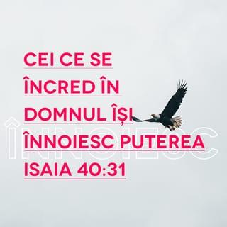 Isaia 40:31 - dar cei ce-și pun speranța în DOMNUL își vor înnoi puterea,
vor zbura ca vulturii,
vor alerga și nu vor rămâne fără putere,
vor umbla și nu vor obosi.